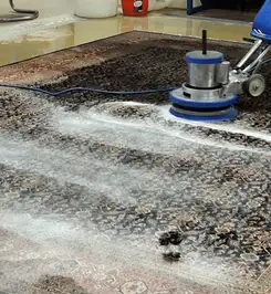 Professional rug cleaning with a rotary floor machine and shampoo foam, deep-cleaning an area rug Boulder, CO.